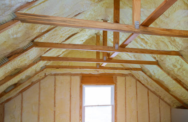Best Insulation for Specific Applications in Carrollwood, FL