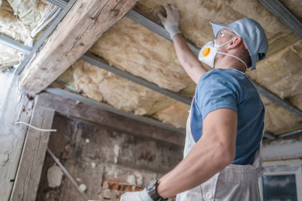 Best Insulation Maintenance and Repair in Carrollwood, FL