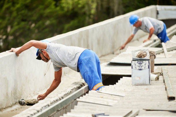 Best Residential Insulation in Carrollwood, FL