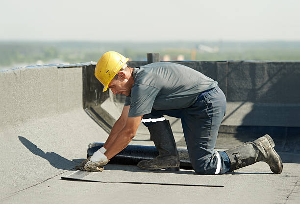 Best Insulation for Specific Applications in Carrollwood, FL